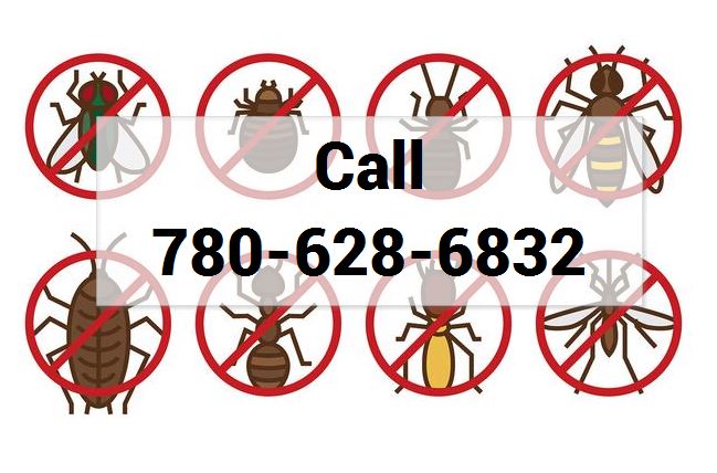 pest control in alberta 24 by 7